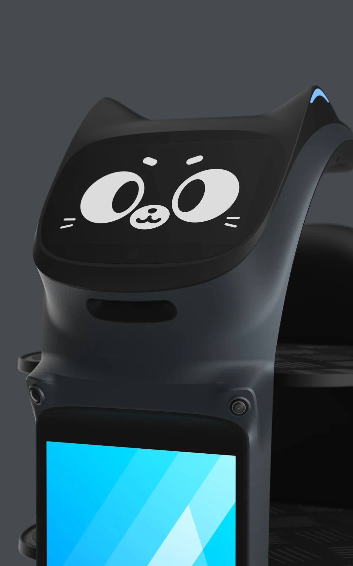 Gesicht und Display des BellaBot Pro