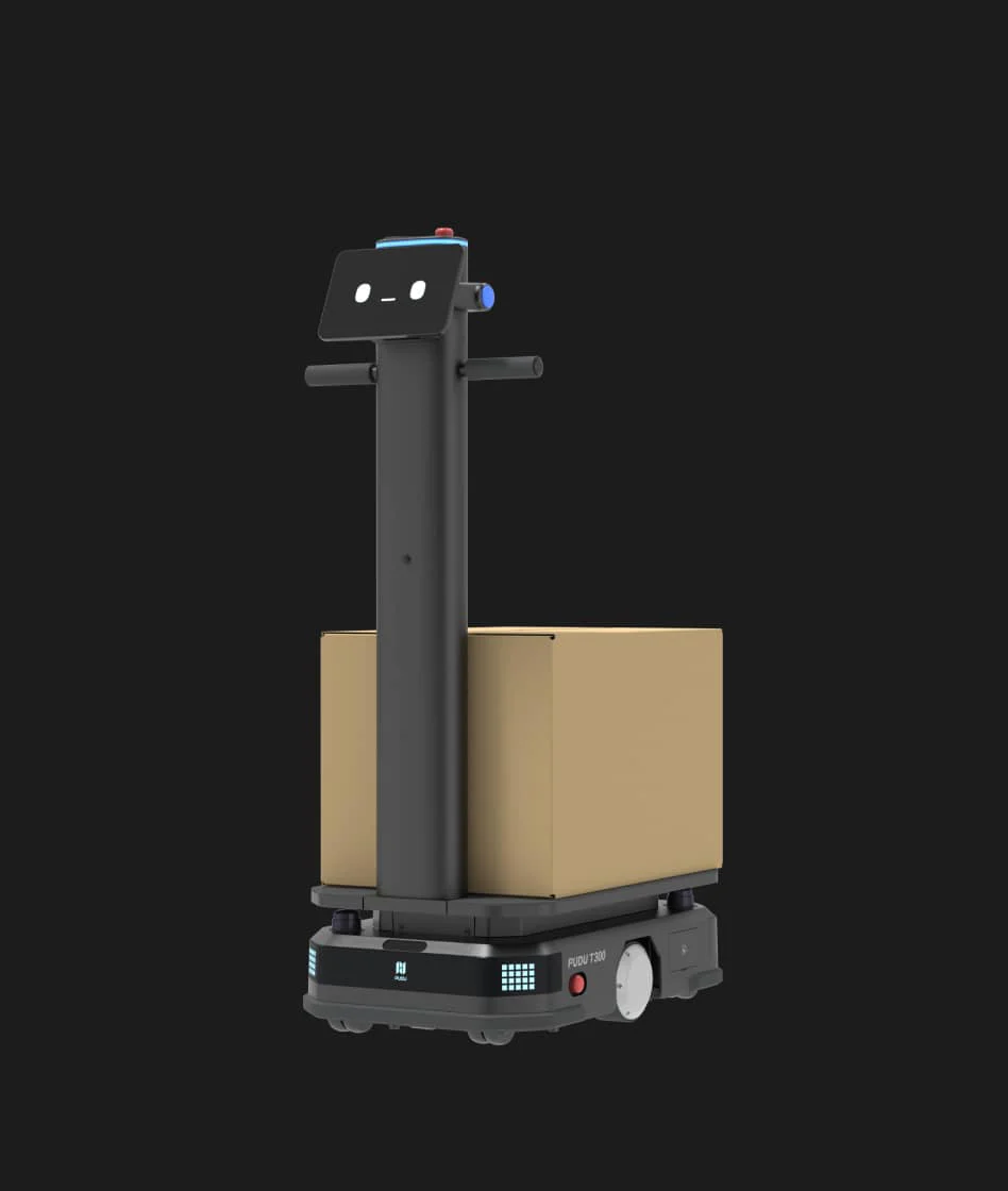 PUDU T300 Standard mit Kartons
